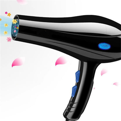 2200W Ionic Professional Hair Dryer