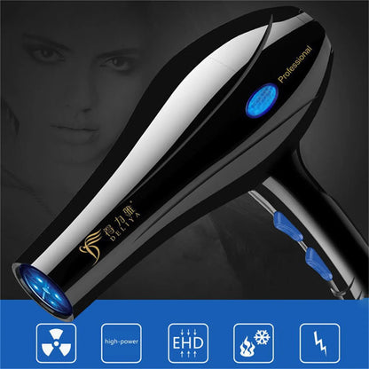 2200W Ionic Professional Hair Dryer